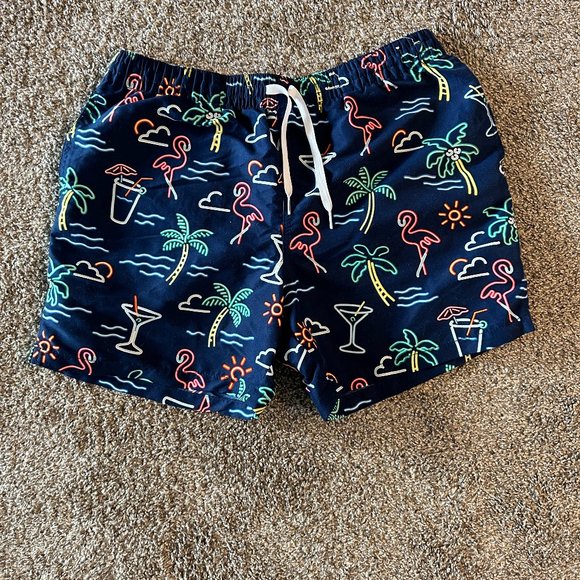 Men's Chubbies Swim Shorts (Large)